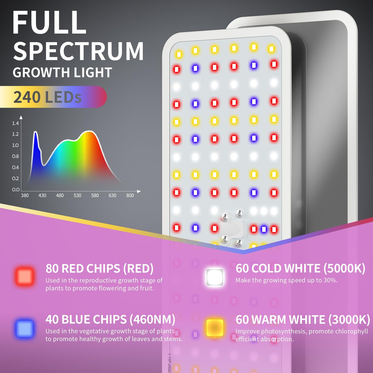 KINGPLUS Grow Lights with Stand, Double Head, Full Spectrum LED Grow Light for Indoor Plants, 240 Leds, 4 Dimmable Levels, Timer 4/8/12h, 12-60inches Height Adjustable, 36w, Ideal for Desk Small Plant