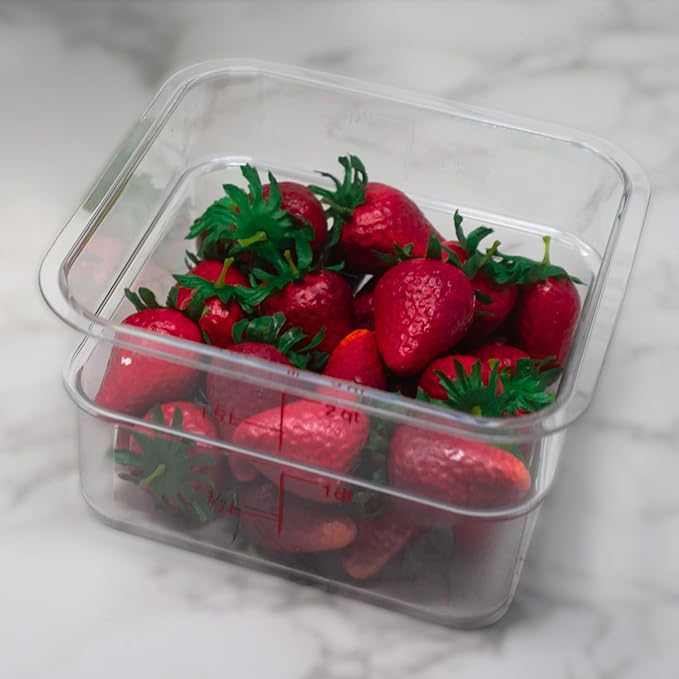 Cambro Food Storage Container