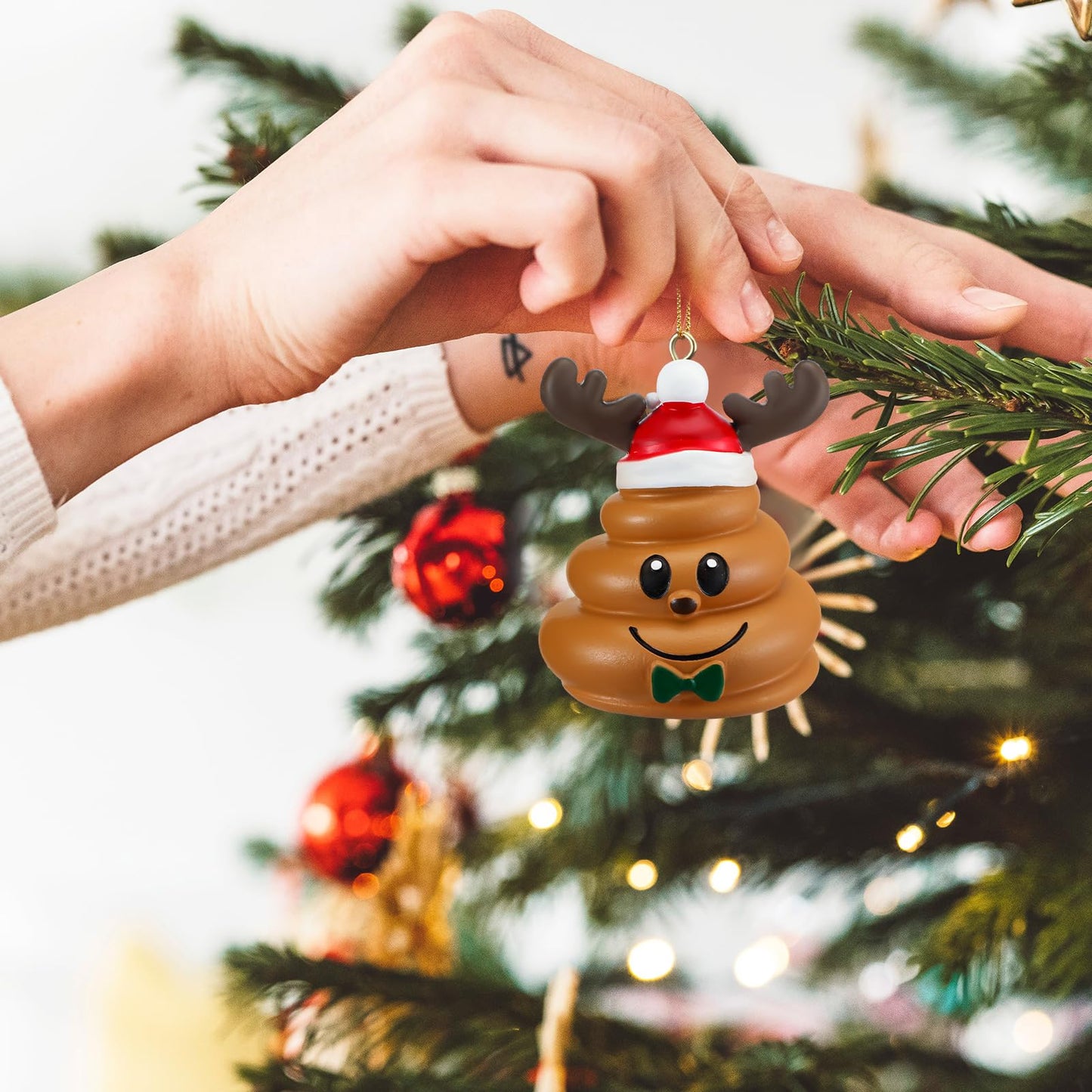 Burbell 3 Pcs Funny Christmas Ornaments for Tree Christmas Pooping Gag Gifts Resin Santa Hat Reindeer Snowman Hanging Ornaments Decor for Xmas Tree Naughty Holiday Party Favor, 3 Styles