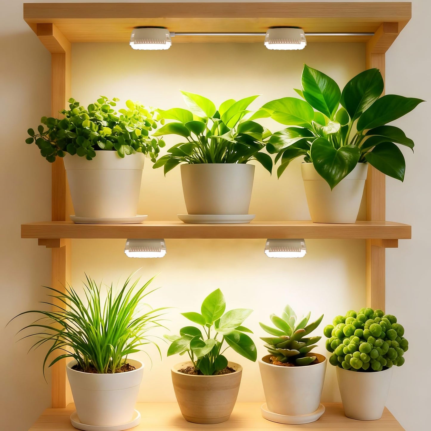 Plant Lights for Indoor Growing, 2 Pack 5W+5W Puck Grow Light, 150 Watt Equivalent,Small Full Spectrum High PPFD Mini Plant Growing Lamps with Timer, Sun Lamp Hanging Grow Lights for Shelves
