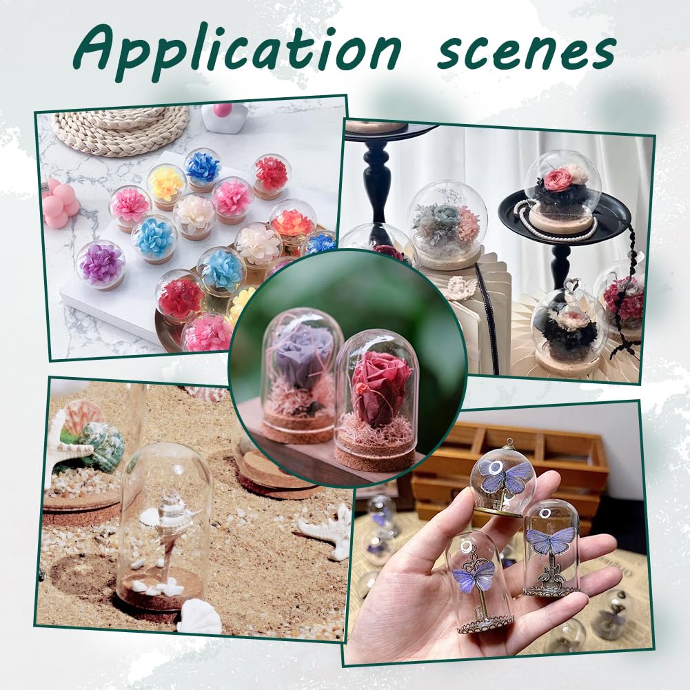 NBEADS 6 Pcs Mini Round Glass Dome, Clear Glass Display Dome Cover with Wood Base Cloche Bell Jar for Centerpieces Plants Rocks Specimens Decorations Crafts, Diameter: 1.57 inch BurlyWood