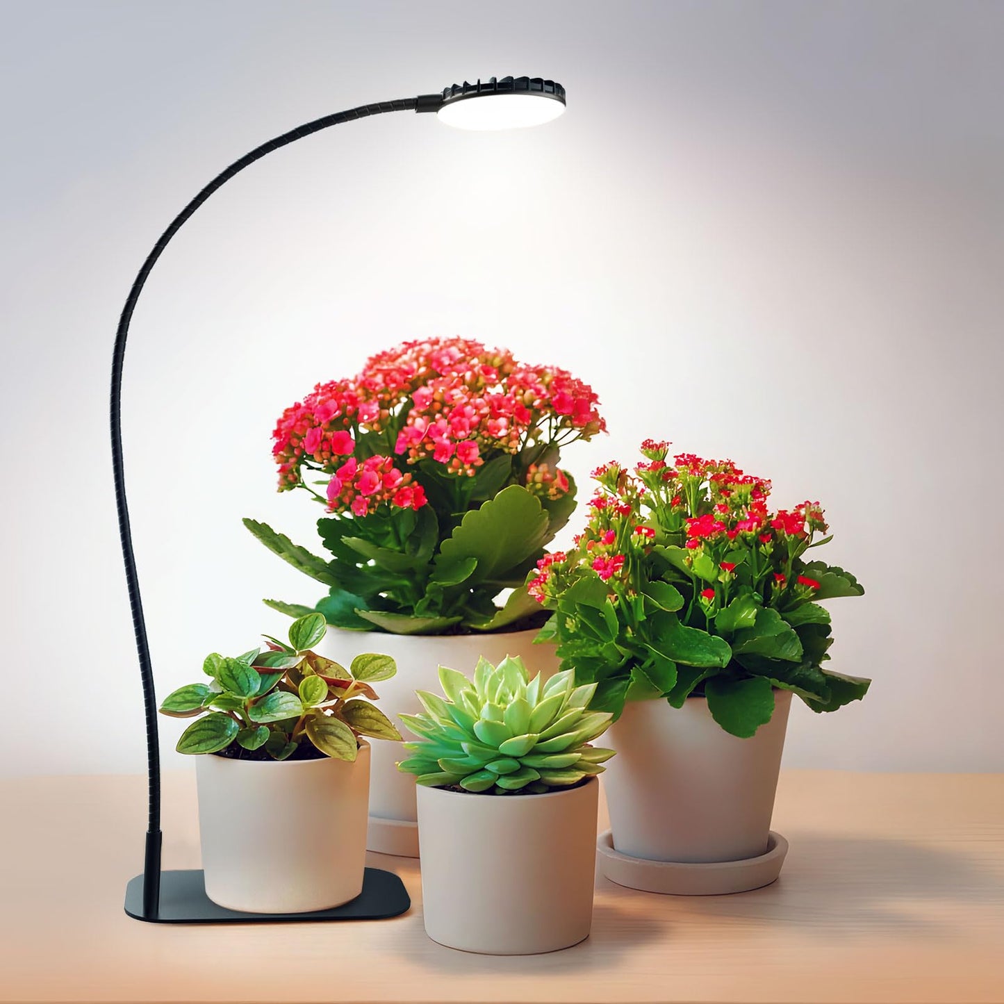 SGLEDs Desktop Plant Grow Light,12w Growing Lamps High Ppfd,Full Spectrum Desk Growth Light with Automatic Timer,4 Dimmable Levels（Black）