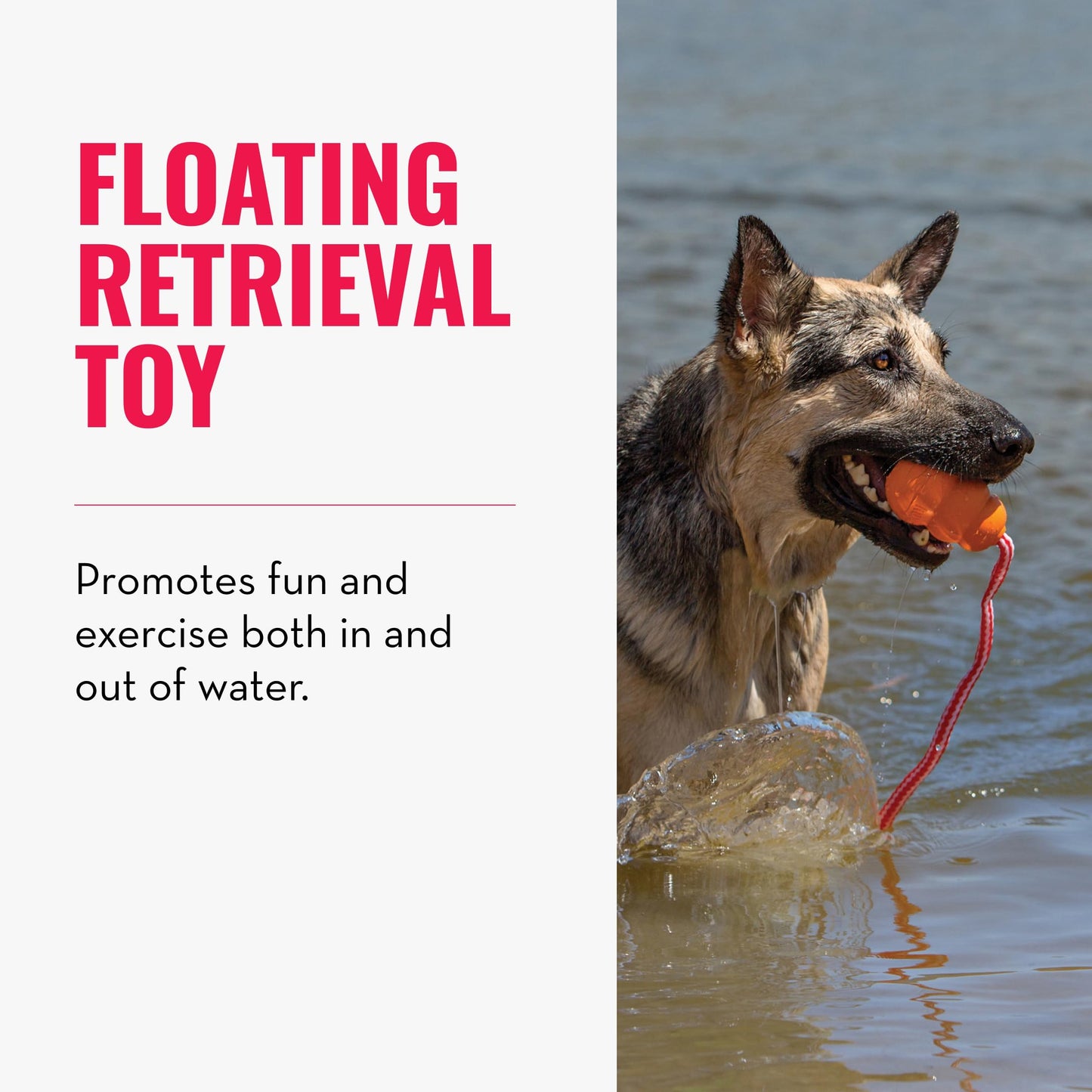KONG - Aqua - Floating Fetch Toy for Water Play - For Medium Dogs