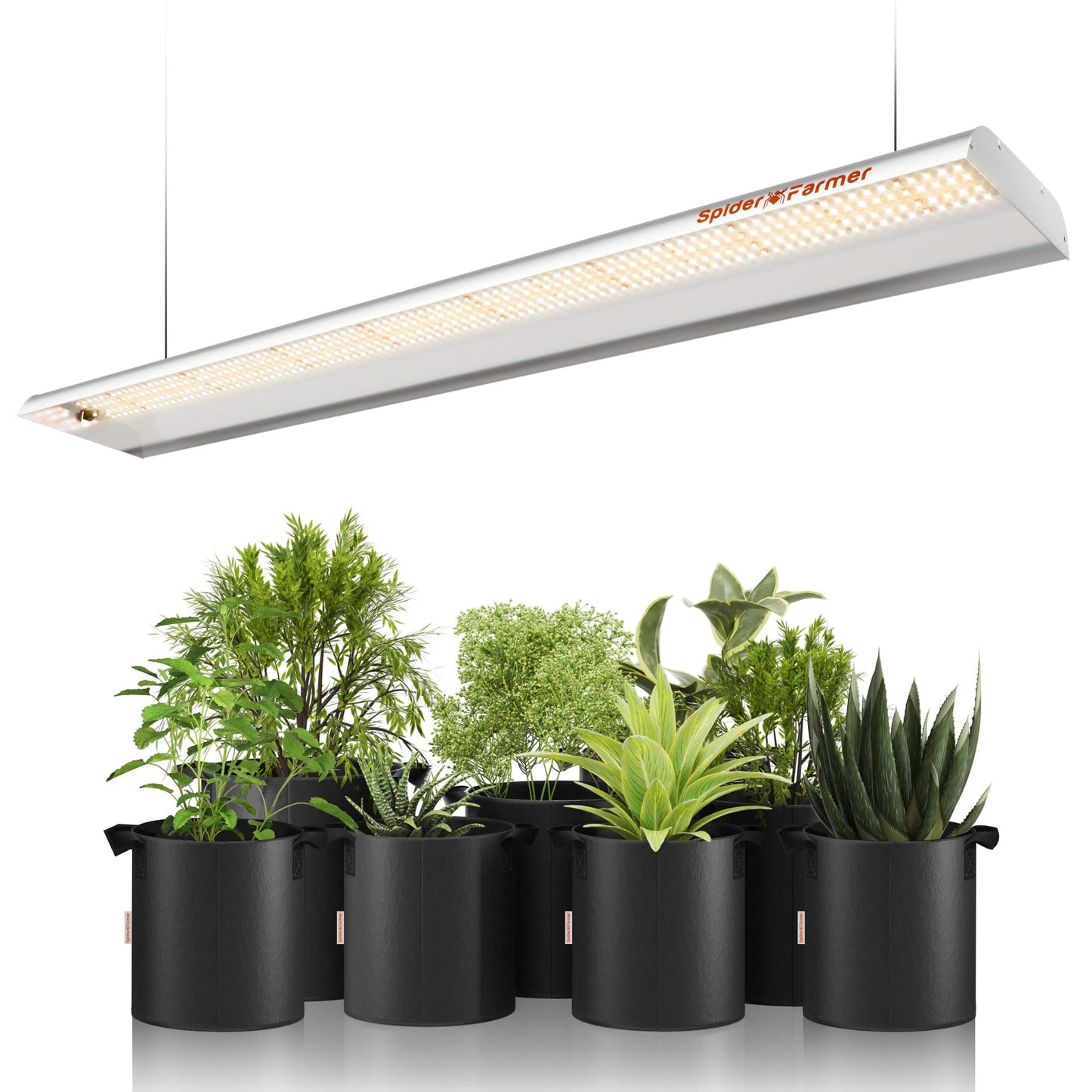 Spider Farmer SF600 LED Grow Lights Sunlike Full Spectrum Plant Growing Lamp for Indoor Plants Seeding Veg Flower Energy Saving & High Efficiency Grow Light for 2x4 ft Coverage