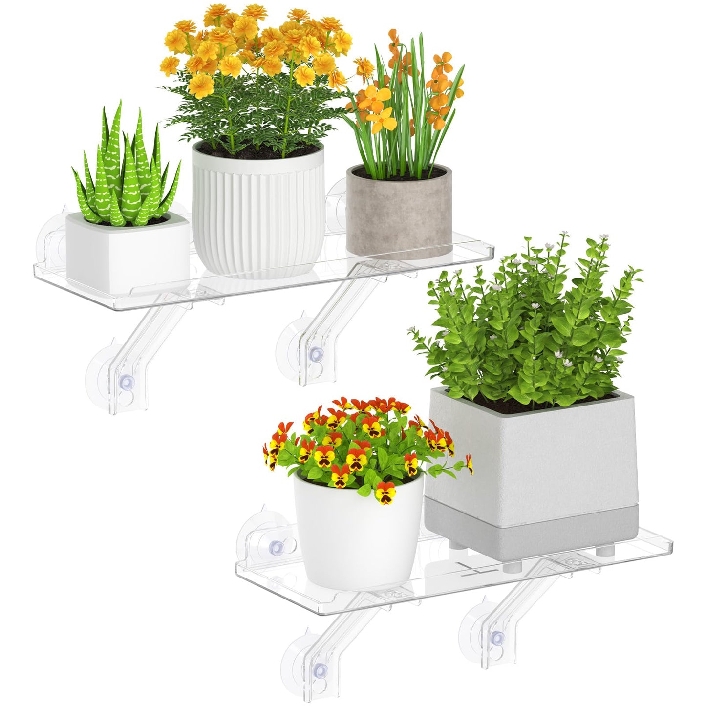 Lifewit 6" Extra Wide & Strong Window Plant Floating Shelves 2 Pack, Heavy Duty Acrylic Suction Cup Shelf, Sill Extender for Succulent Plants, Seed Starter Pots, Herb Planters 38 x 15 cm/15.2x6