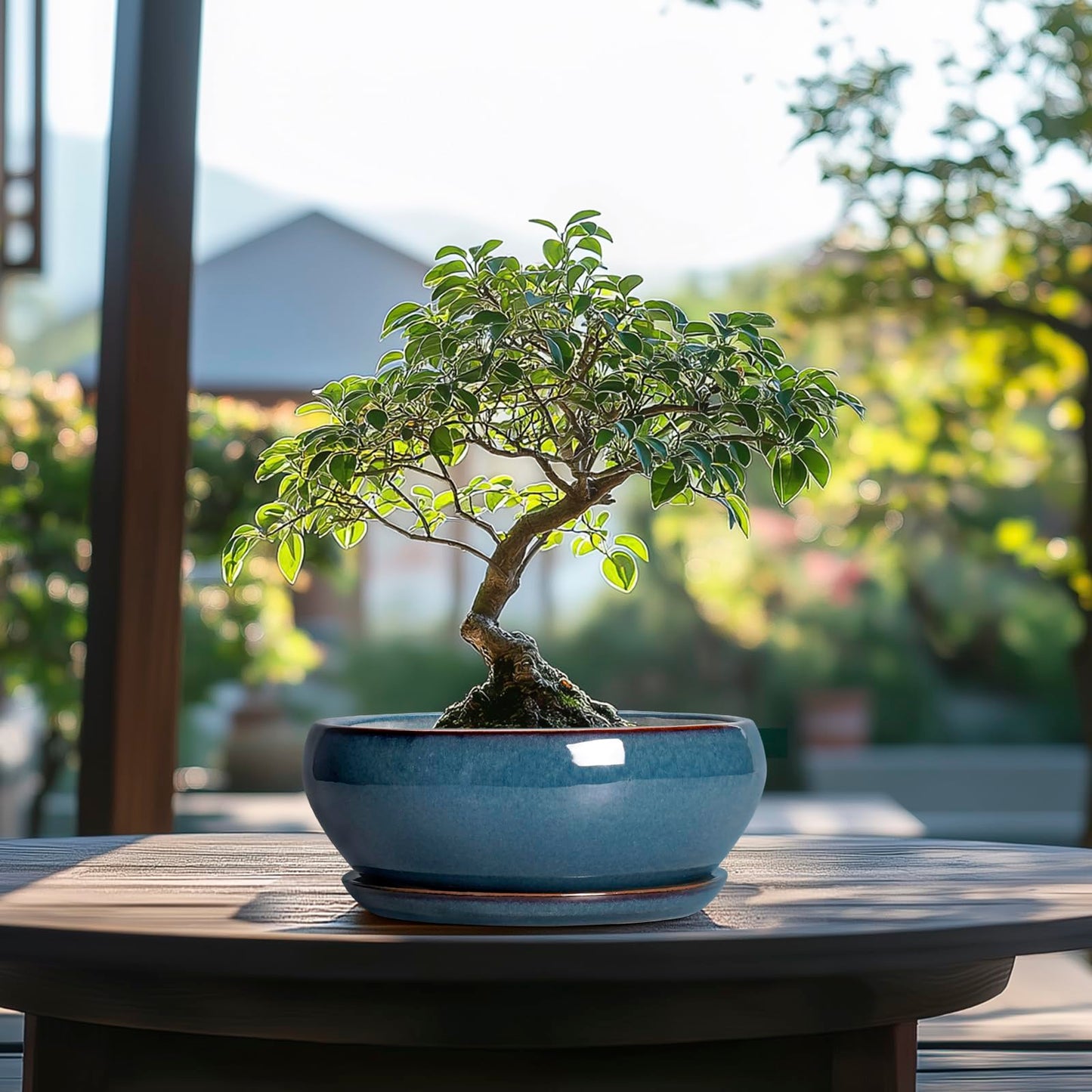SQOWL Bonsai Pots - 8 Inch Ceramic Succulent Pots with Drainage Hole and Saucer, Round Shallow Planter for Indoor Outdoor Plants Flowers, Ceramic Planter Bowl, Room Decor, Gardening Gifts, Blue