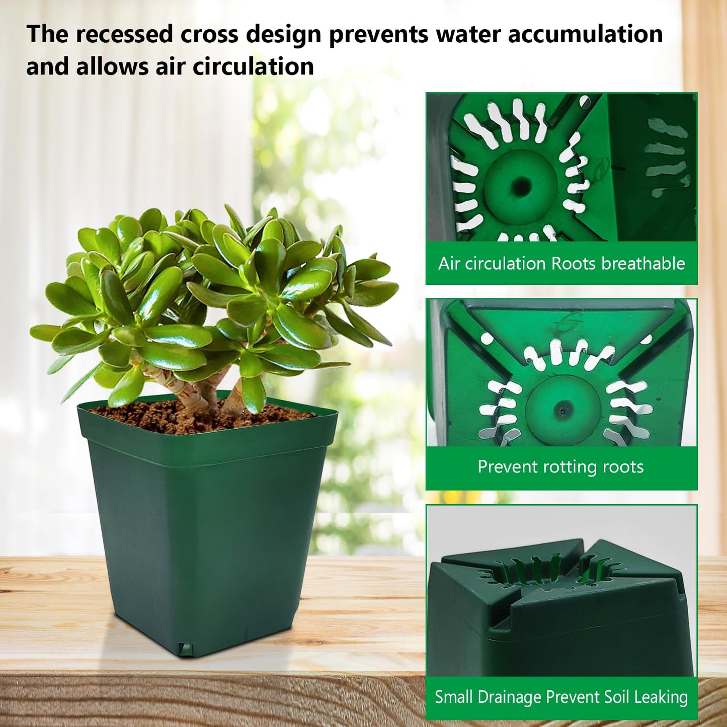 RooTrimmer Square Nursery Succulent Pots 4 Inches 60 Pcs Deep Flower Plant Nursery Seedling Grow Pots Plastic with Drainage (Green, 4Inches, 60Pcs)