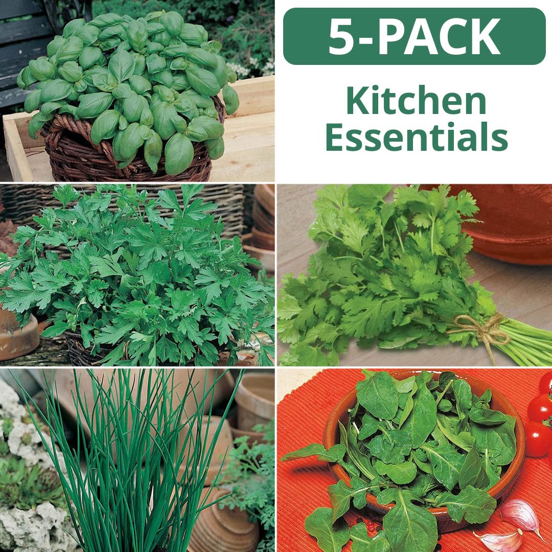 Kitchen Essentials Herb Garden Seed Collection, 5-Pack Variety Kit Contains 3,550 Seeds, Easy to Grow Food Seasoning, Live Plants | Basil, Parsley, Chives, Coriander, Arugula, Home Growing