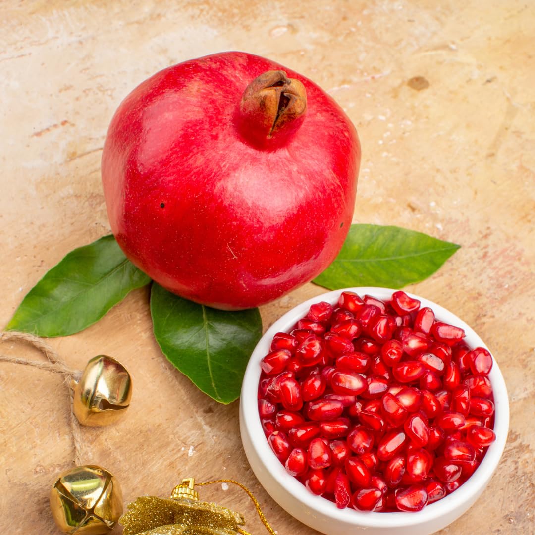 Pomegranate Tree Plant Live, Pomegranate Fruit Plant, 4 Inch Pot, Ready for Planting