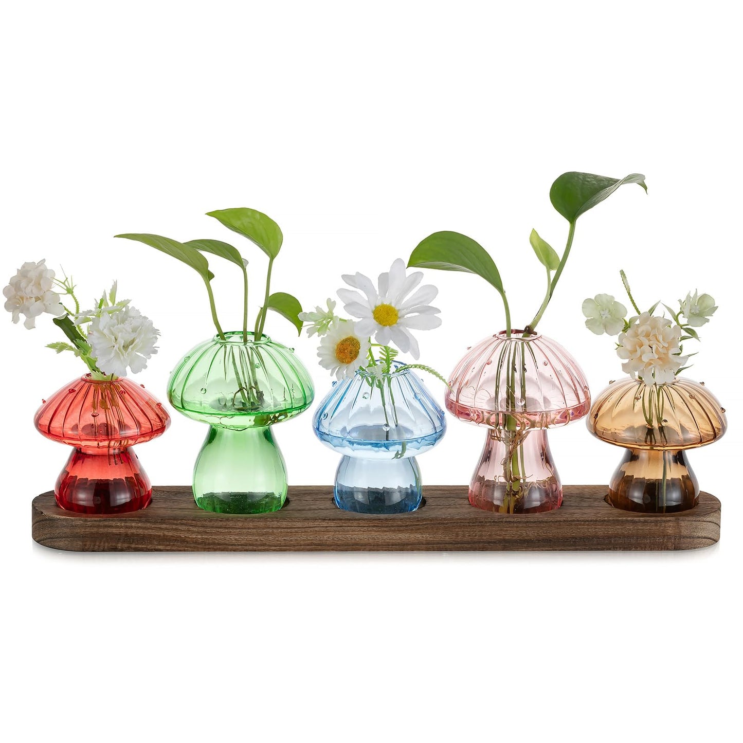 Glasseam Mushroom Plant Propagation Stations: Glass Terrarium Jars with Wood Stand - Unique Hydroponic Planters for Indoor Plants, Office Decor - 5 Pcs