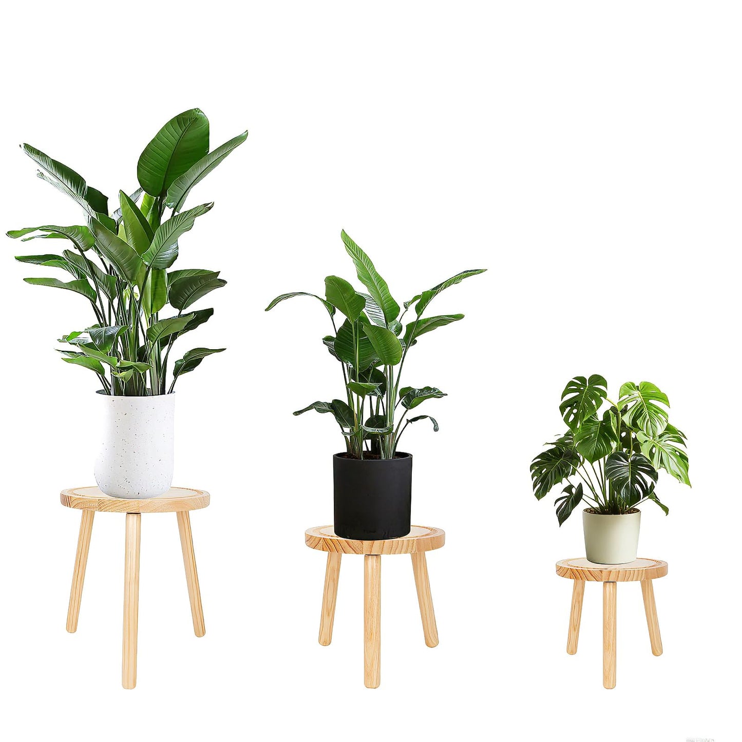 Amdermi 3-Pack Wood Plant Stands Indoor, Single Plant Stand for 6-12 Inch Pots, Mid-Century Modern Plant Stool, Tall Plant Stand for Large Plants for Living Room, Balcony, Office (Light Brown)