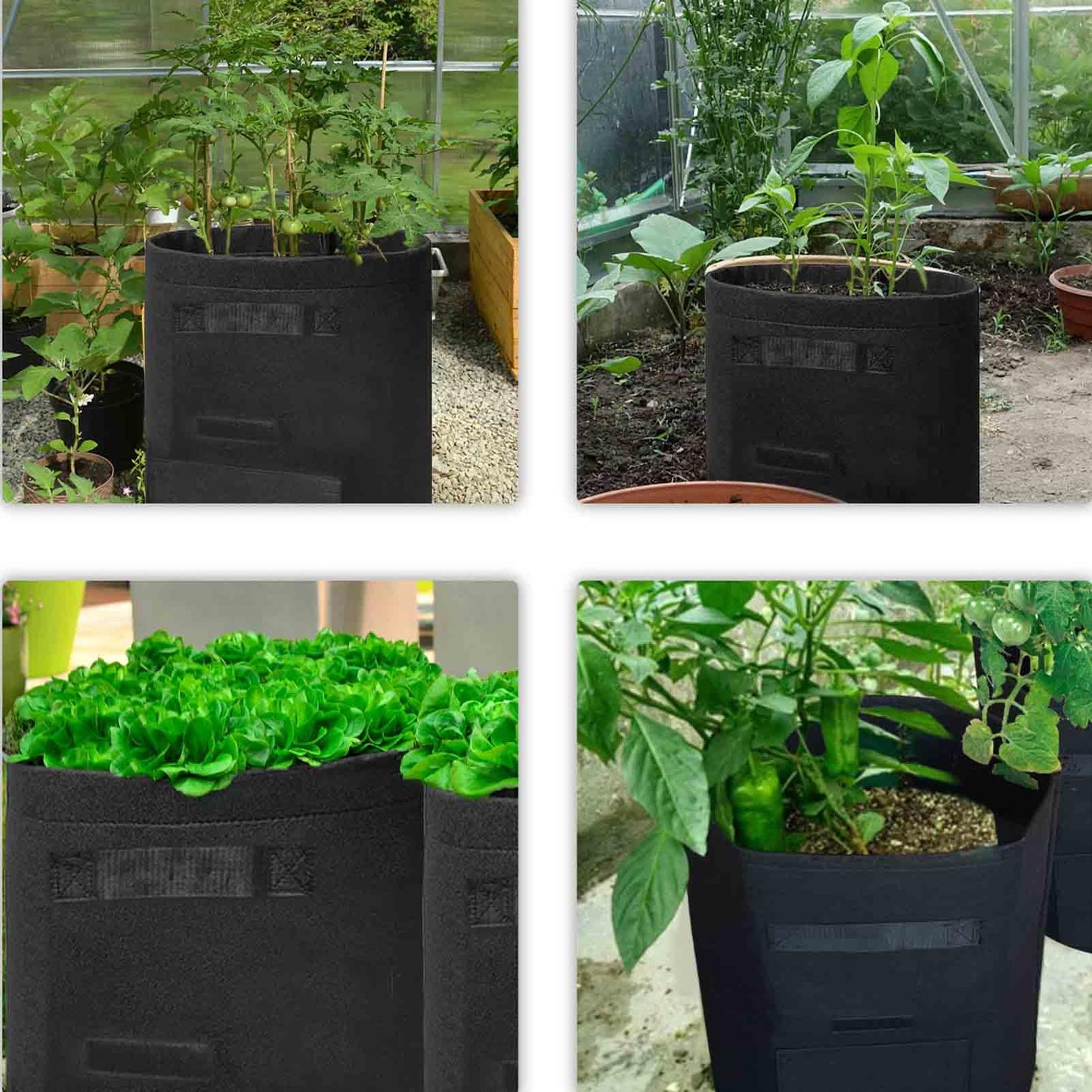 TCBWFY 2 Pack Potato Grow Bags with 2 Flaps 15 Gallon,Heavy Duty 14oz/yd² Planter Pot with Sturdy Handles and 2 Harvest Windows for Potato Tomato and Vegetables