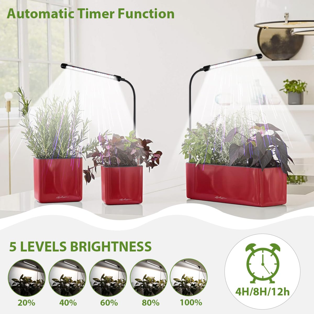 WeeLeeGoo Grow Light 2 Pack, 6000K Full Spectrum Gooseneck Growing Lamp for Indoor Bonsai Pot Succulents Micro Greens Mini Plants, Dimmable & Auto Timer 4 8 12H