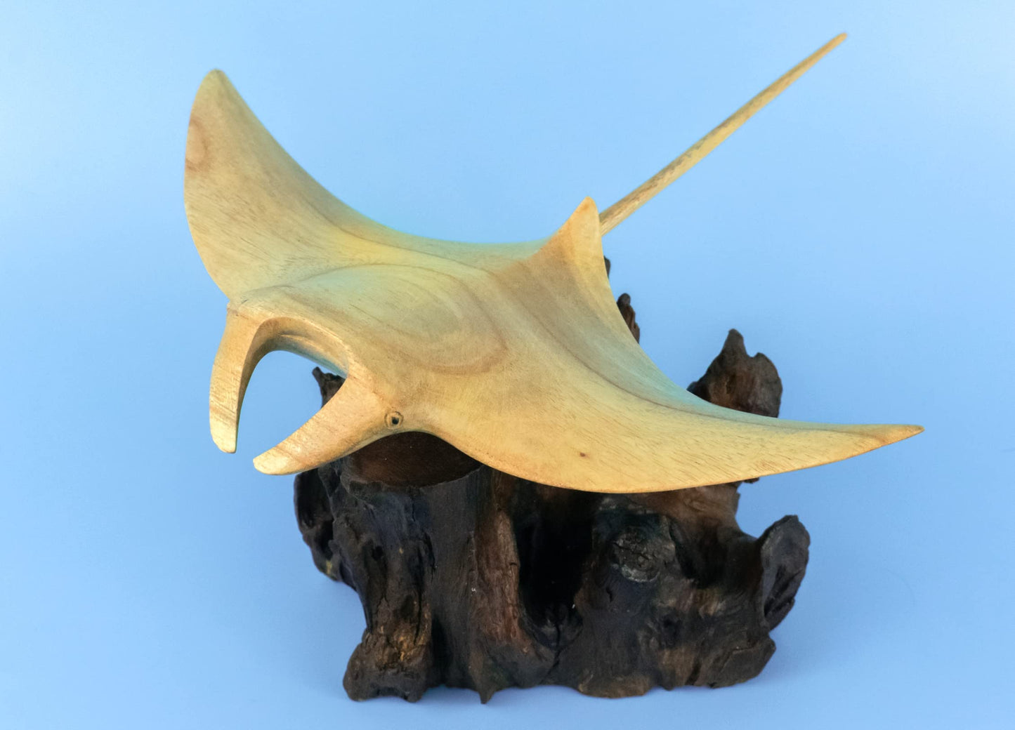 G6 Collection 10" Handmade Wooden Stingray on Coral Figurine, Hand-Carved Ocean Fish Decor, Coastal Marine Sculpture, Nautical Beach House, Exotic Sea Life Carving, Unique Coral Reef Art (10" Long)