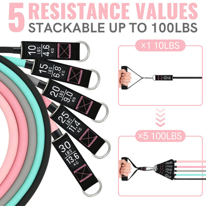 Aihoye Resistance Bands for Working Out, Exercise Bands with Handles, Stretch Bands for Exercise, Workout Bands with Door Anchors for Physical Therapy & Strength Training