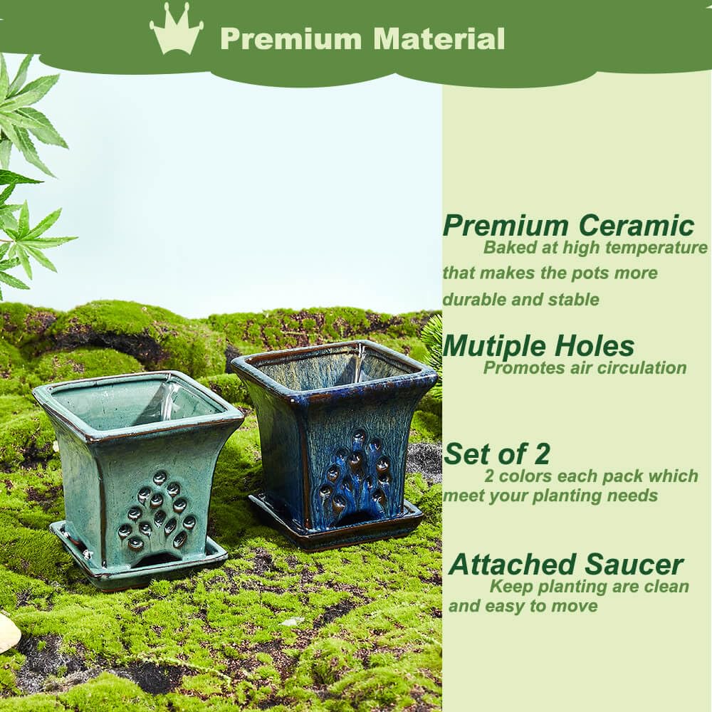 Ceramic Orchid Pots with Holes attached Saucers 4.8 Inches - Set of 2 Small Square Orchid Pots for Repotting, Decorative Ceramic Orchid Planter with Hole for Healthy Root Growth Blue and Green