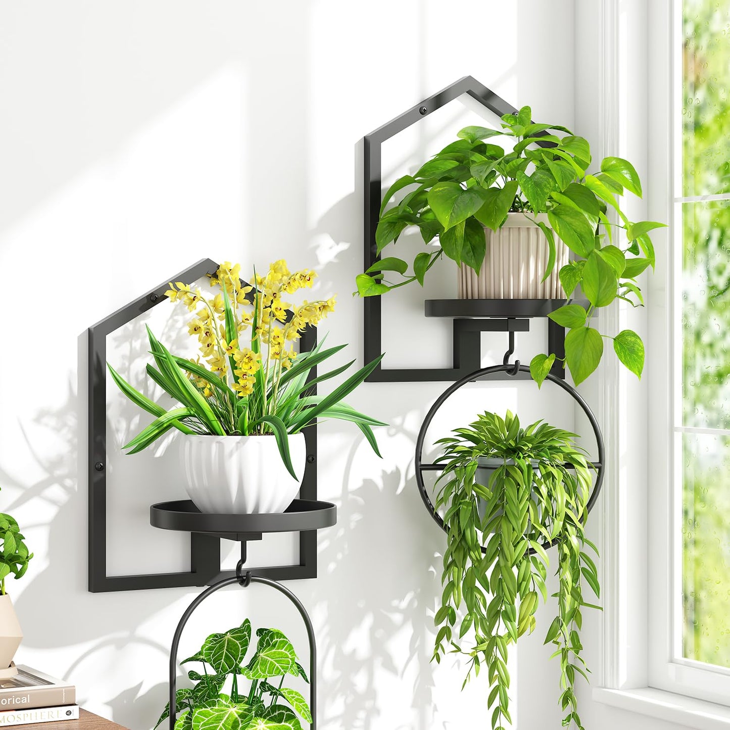 iDavosic.ly Wall Plant Picture Frame Holder Set of 2 for Indoor, Metal Stand with Hanging Hooks, Floating Flower Display Home Decor, Space Saving & Easy to Assemble (Pots/Chains/Plants Not Included)