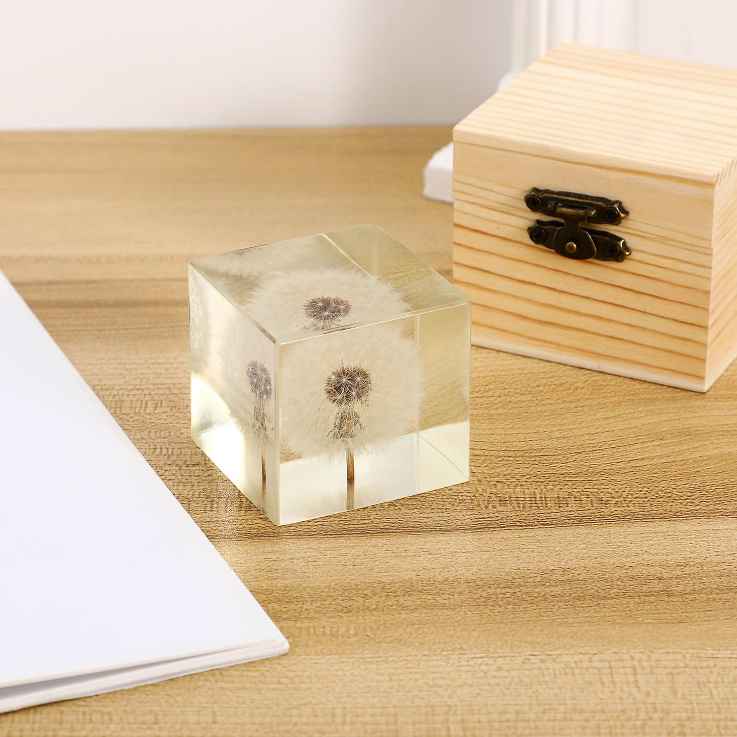 Real Dandelion Specimen in Crystal Clear Resin Cube, 2 Inch 3D Preserved Dandelion Puff Paperweight with Wooden Box, Natural Plant Decor for Home Office Gift