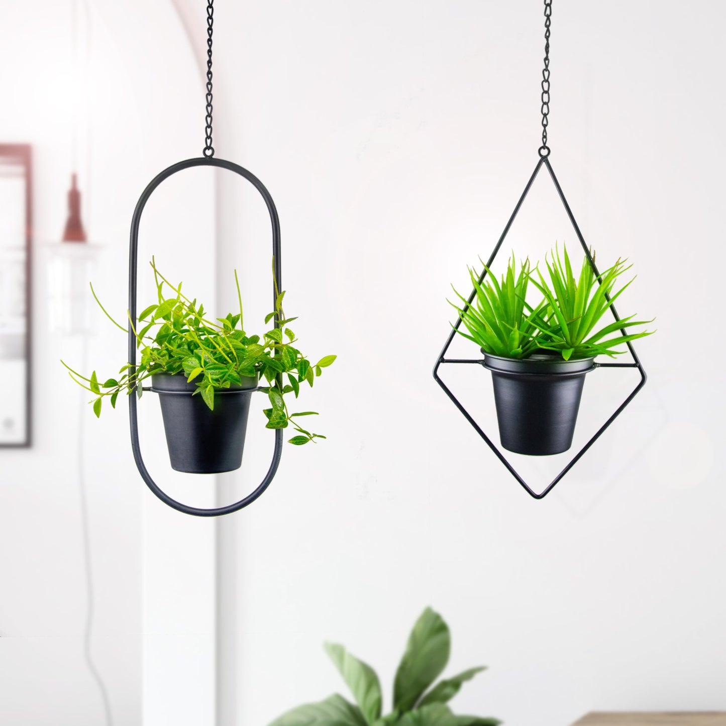 Metal Hanging Planters, Modern Plant Hanger with 5 inch Pot, Set of 4 Black Plant Holder, Small Wall and Ceiling Planter for Indoor Plants, Home Décor