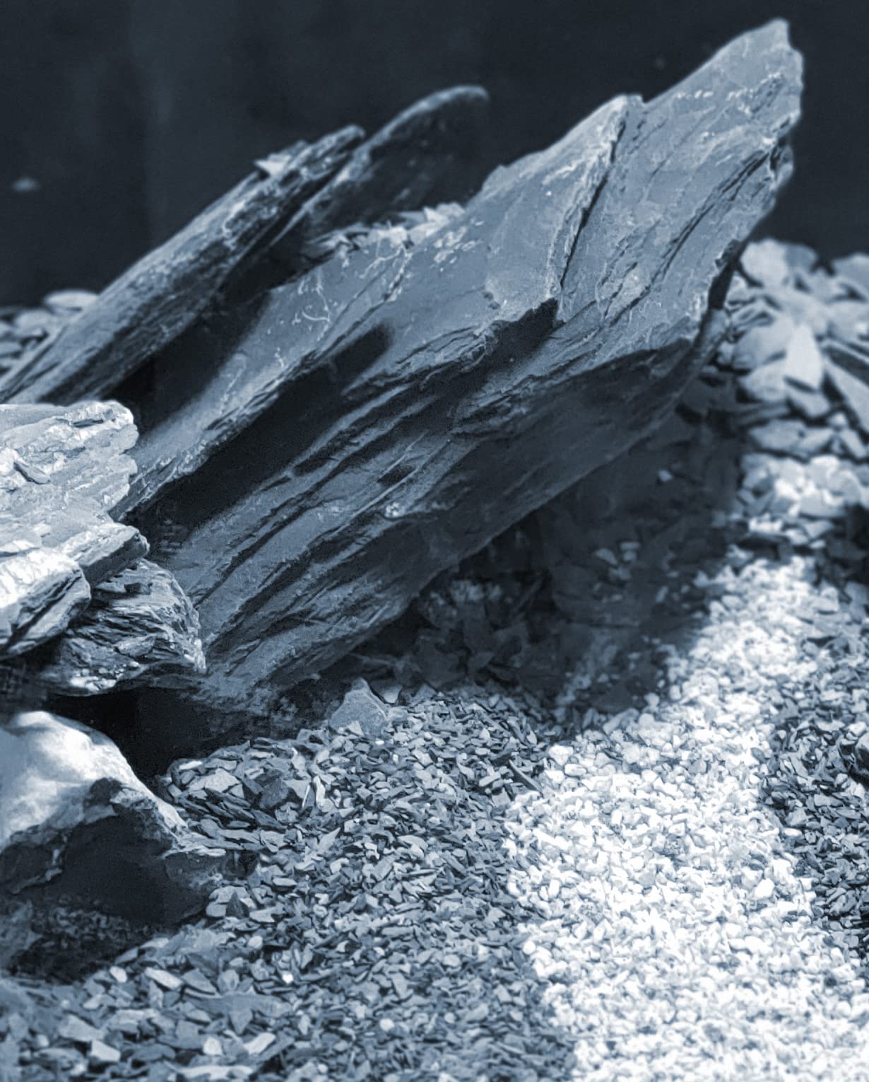 Natural Slate Stone 5 to 7 Inches - USA Sourced and Packaged for Aquascaping Aquariums, Terrariums, Paludariums, Reptile Enclosures, and Gardens (5lbs)
