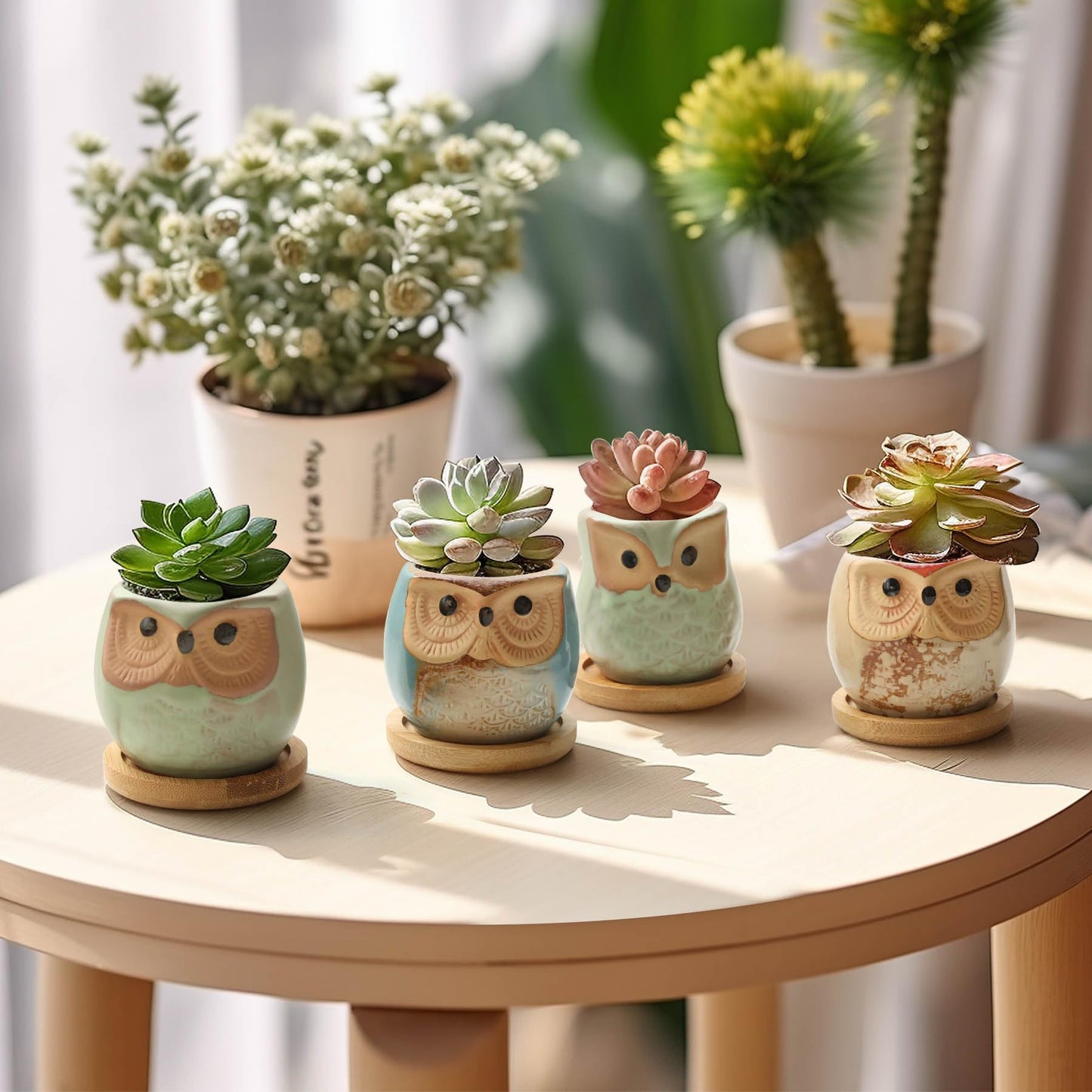 T4U 2.5 Inch Owl Ceramic Succulent Planter Pots with Bamboo Tray Set of 6, Flowing Glaze Porcelain Handicraft Plant Holder Container Gift for Mom Sister Aunt Best for Home Office Garden Decoration