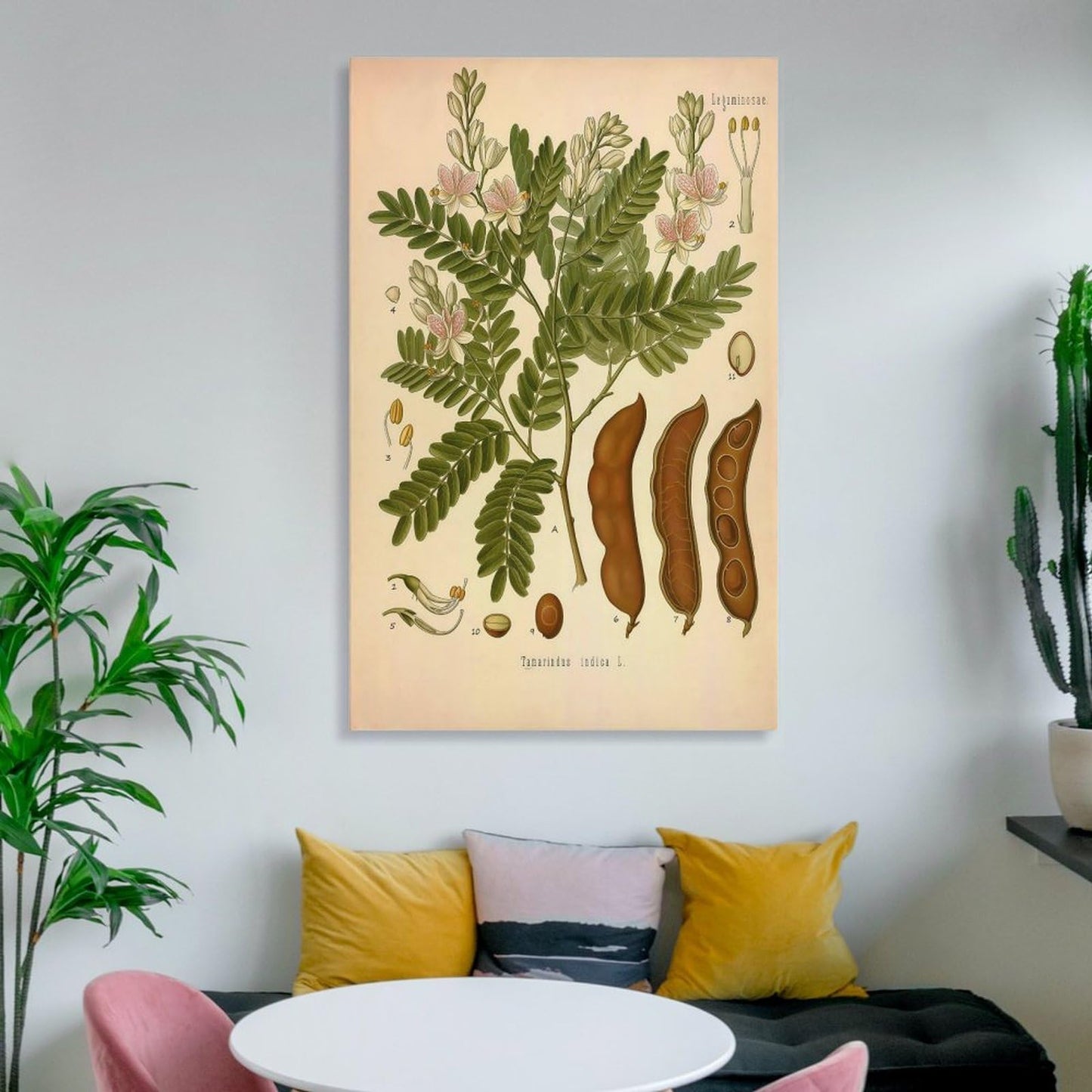Tamarind Tree Plant Knowledge Poster Canvas Wall Art Posters For Room Aesthetic And Decor Poster For Bedroom Living Room Bathroom Kitchen Office Decor 24x36inch(60x90cm) Unframe-style