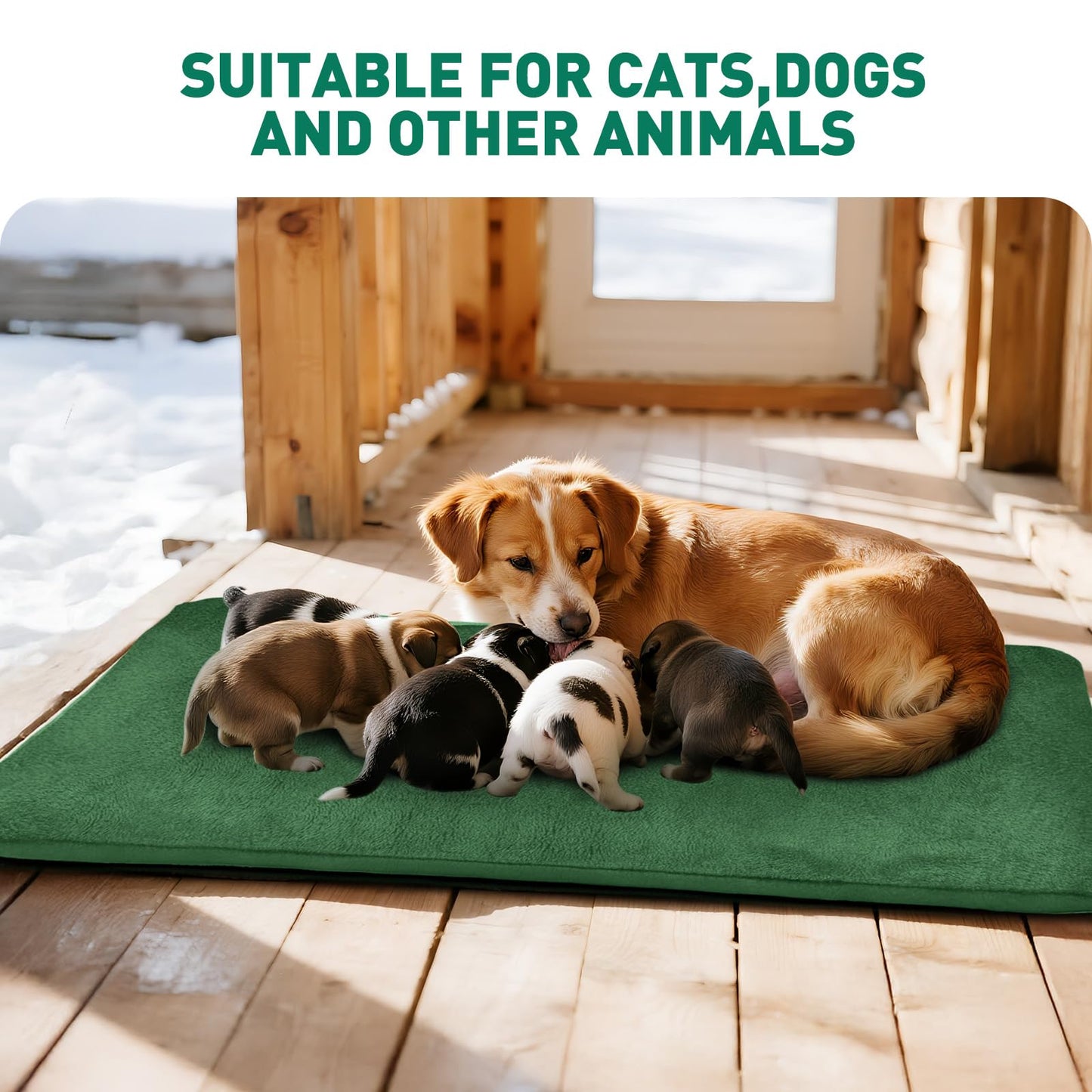 PETNF Outdoor Pet Heating Pads for Dog,Soft Electric Blanket Auto Temperature Control,Heated Mat for Dog House,Whelping Supply for Pregnant New Born Stray Feral Cat Puppy,Safe