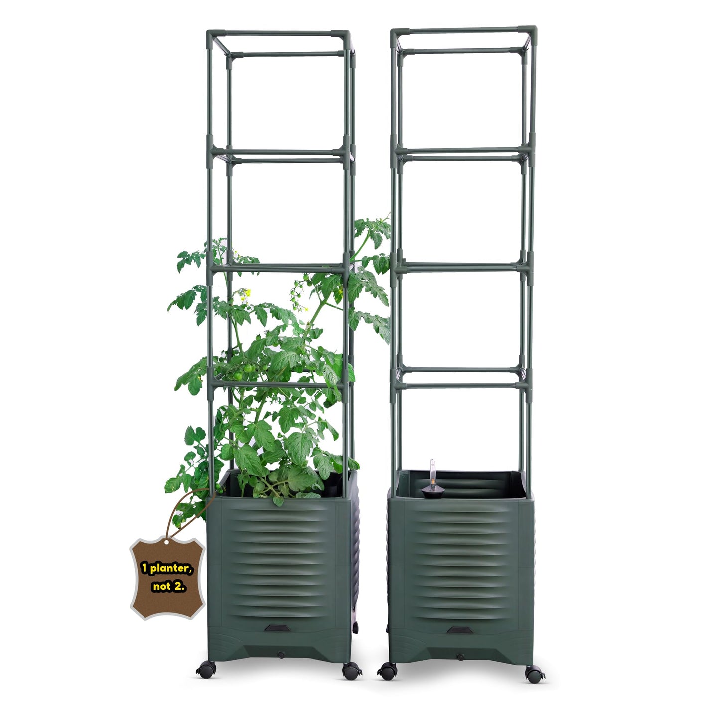 Raised Garden Bed Tomato Planter Trellis for Garden Planter for Tomato Pots for Growing Tomatoes Box Outdoor 55" Self Watering Metal Trellis-Second-Generation Launch-1-Pack Plant Pot – NOT a Set of 2