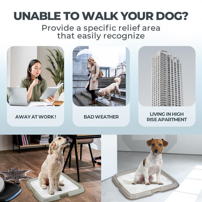 PAWISE Puppy Pad Tray Dog Toilet Tray Pet Pee Pad Holder,Portable Puppy Training Pad, Indoor Dog Litter Tray for Dogs/Cats,60 * 60 cm