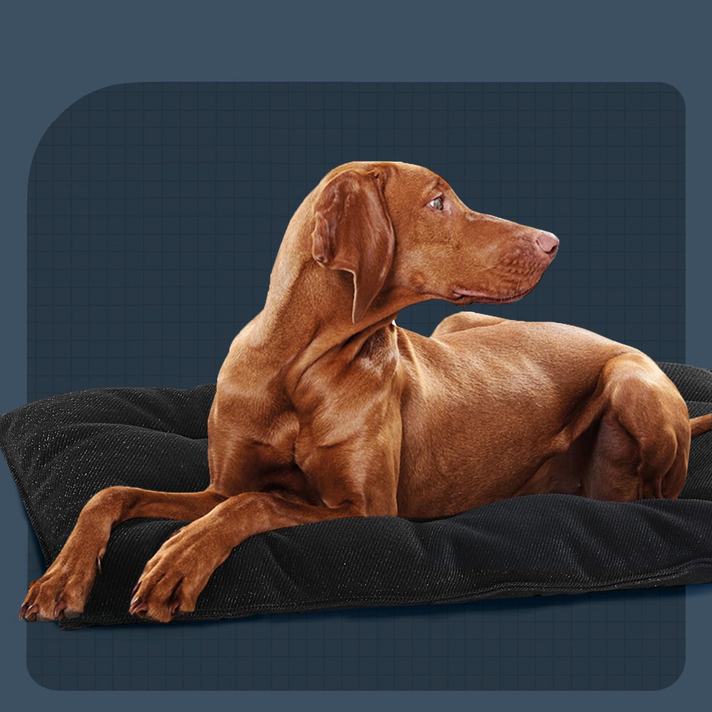 MABOZOO Indestructible Dog Bed - Chew Proof Crate Pad, Durable for Aggressive Chewers, Washable Mats for Small Puppy, Black, 17x23 in