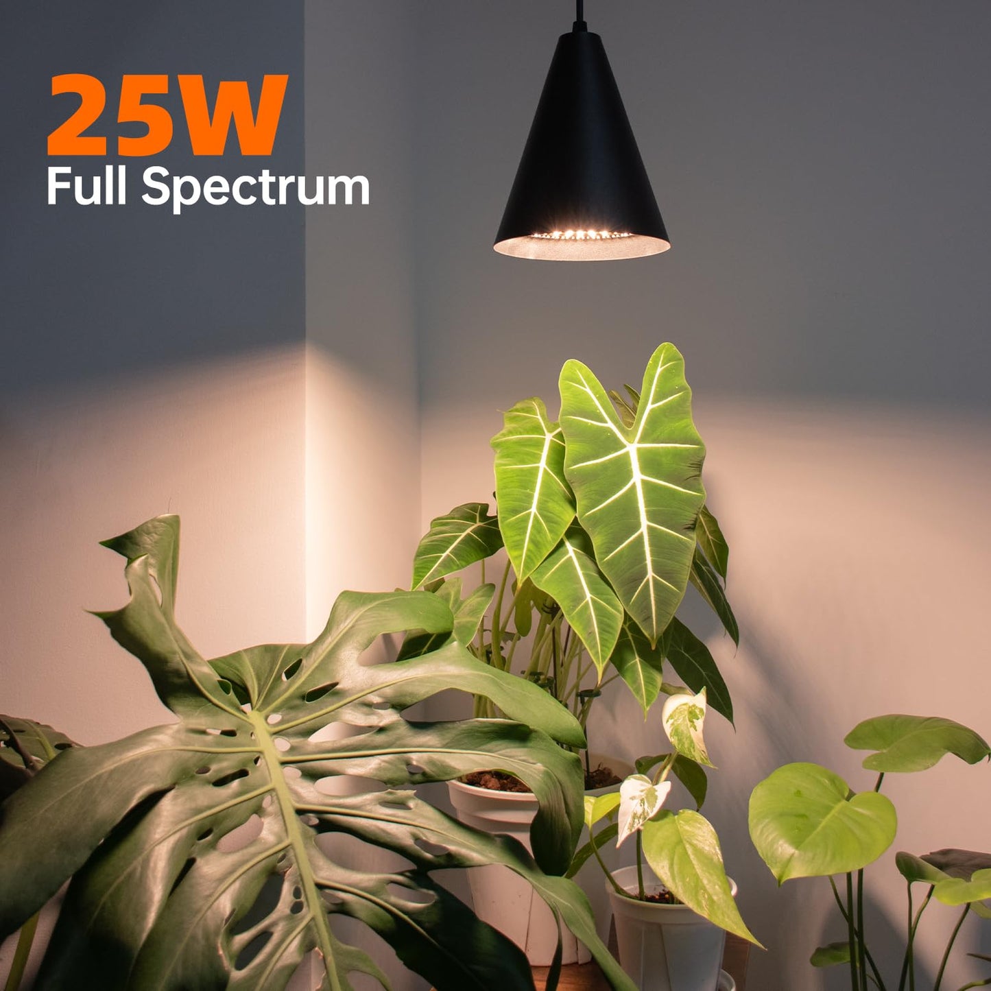 Bstrip Hanging Grow Lights for Indoor Plants, 25W Full Spectrum Hanging Plant Light with Timer &16.4FT Power Cord, 3000K Black Pendant Grow Light for Indoor Plant,Tall Plant Garden, Flowers,Greenhouse