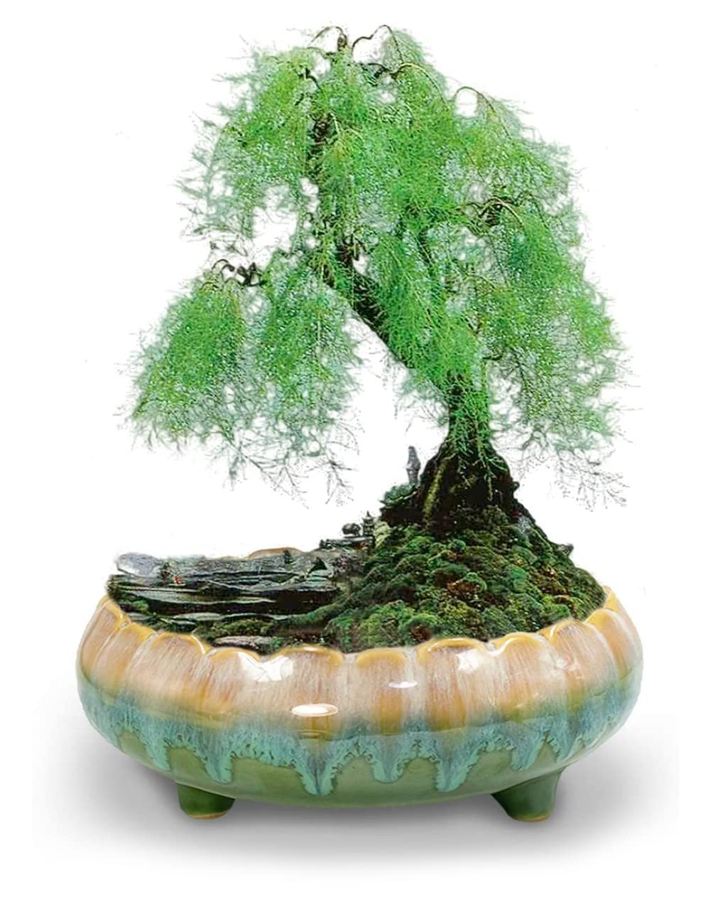 Dahlia 8.3'' Inch Large Shallow Drip Glazed Ceramic Planter/Succulent Pot/Plant Pot, Green