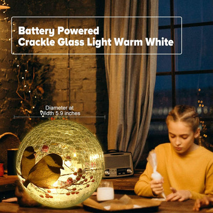 Glass Ball LED Night Lamp with Timer (6 Hour On/18 Hour Off), Showcasing 2 Birds on a Tree - 5.9 inch Battery Powered Lights Globe lamp Christmas Lights for Festive Decor and Girls Gift