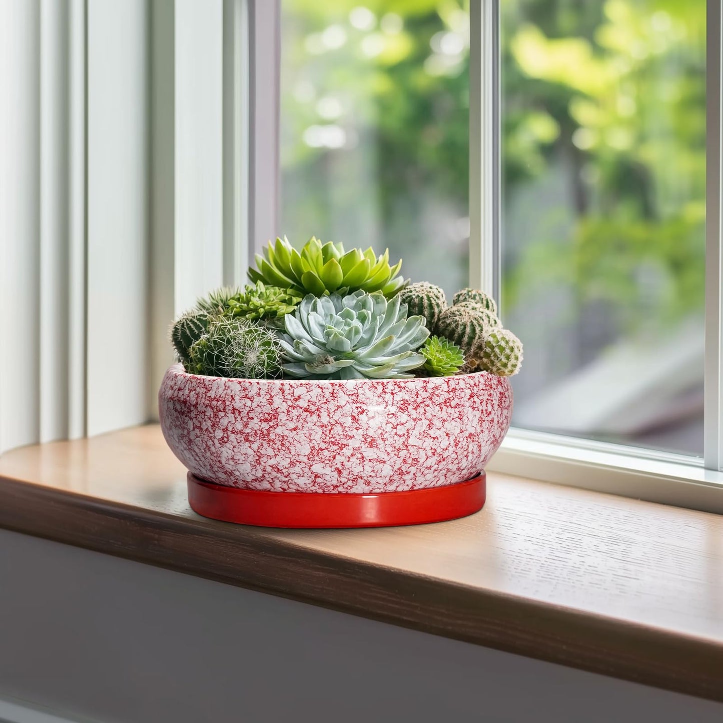 EPFamily Bonsai Pots 10 Inch - Ceramic Succulent Planters for Indoor Plants Outdoor, Succulent Pots with Drainage Hole and Tray, Round Shallow Planter, Bonsai Planter, Home Decor, Gardening Gift, Red