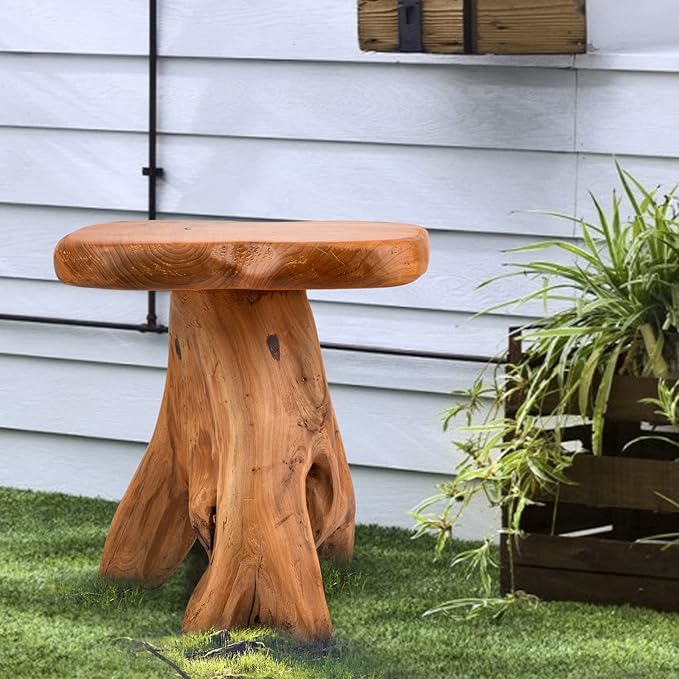 Small Side Table, Unique Design Live Edge Wood Stool, Freeform Natural Plant