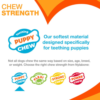 Nylabone Puppy Dog Teething Chew Toy Pacifier, Bacon Flavour, Extra Small, for Puppies Up to 7 kg, Blue/Pink