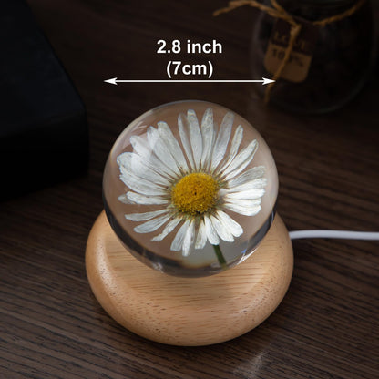 MARZIUS Flower Crystal Ball Night Light,2.75 inch Glass Ball Night Lamp with Woodern Base (Leucanthemum)