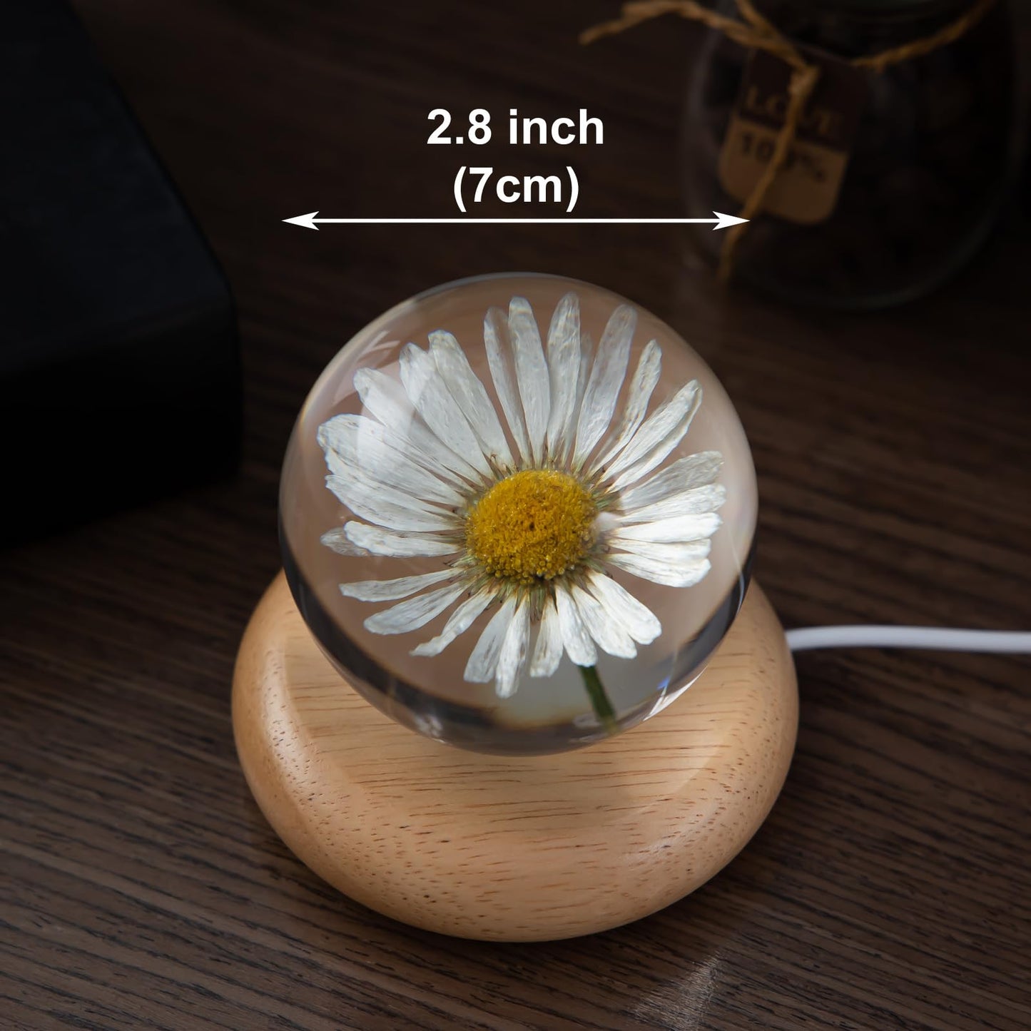 MARZIUS Flower Crystal Ball Night Light,2.75 inch Glass Ball Night Lamp with Woodern Base (Leucanthemum)