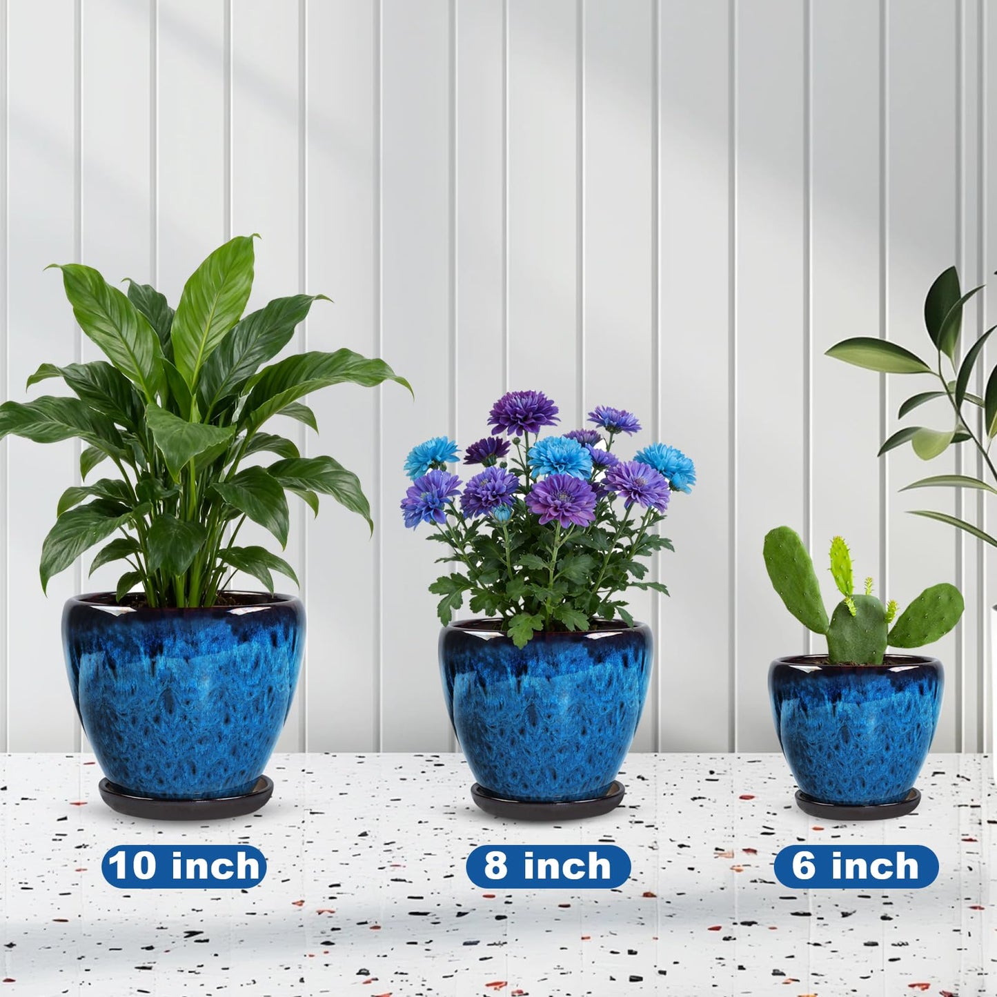 Xoogifae Ceramic Plant Pots with Saucer, 6 inch Glaze Planters for Indoor Plants with Drainage Holes, Decorative Small Flower Pots Outdoor, Modern Succulent Pots for Home Room Decor
