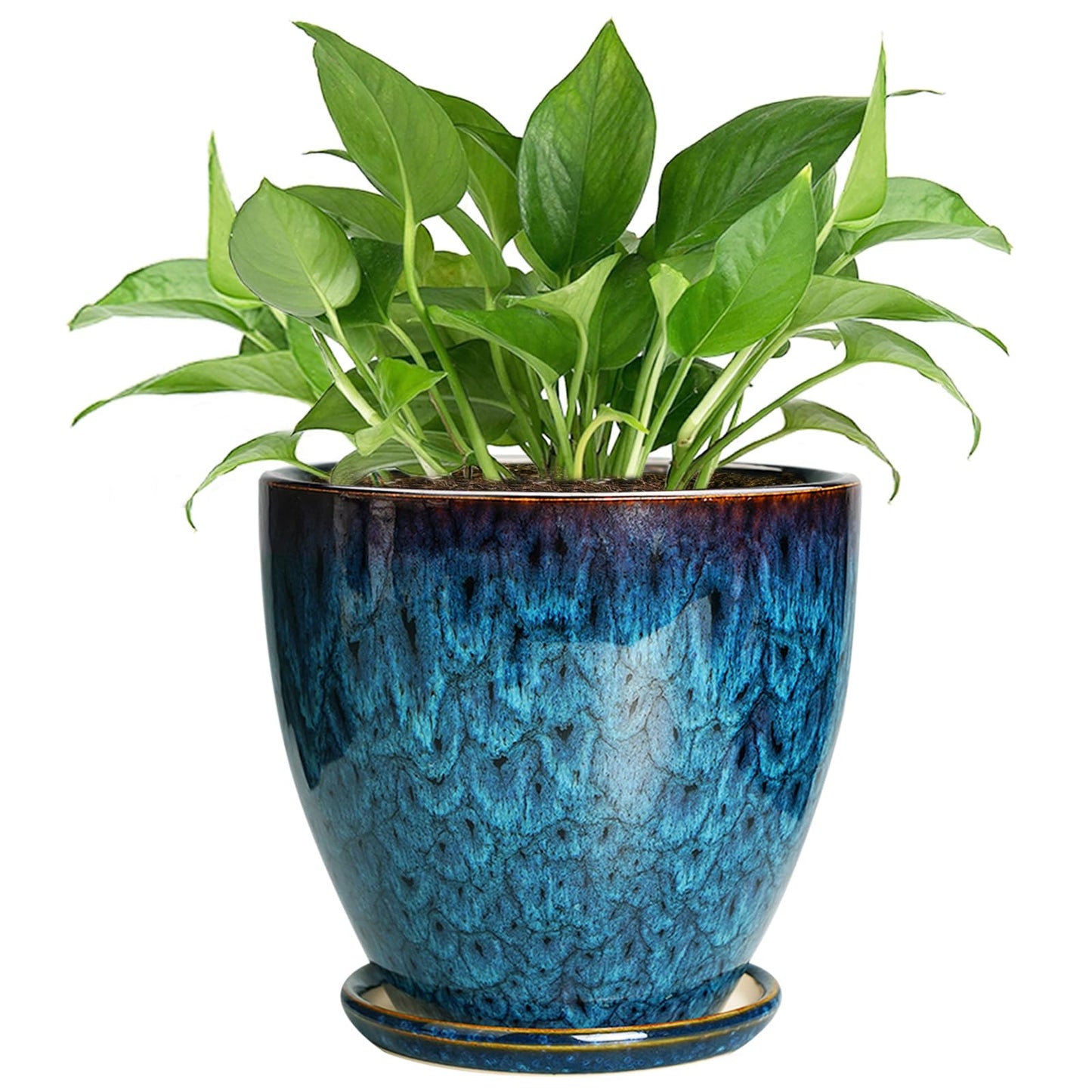 EPFamily Ceramic Plant Pot, 6.3 Inch Ceramic Planter Pot with Drainage Hole and Saucer, Succulent Round Flower Pot for Indoor Plants Outdoor, Blue