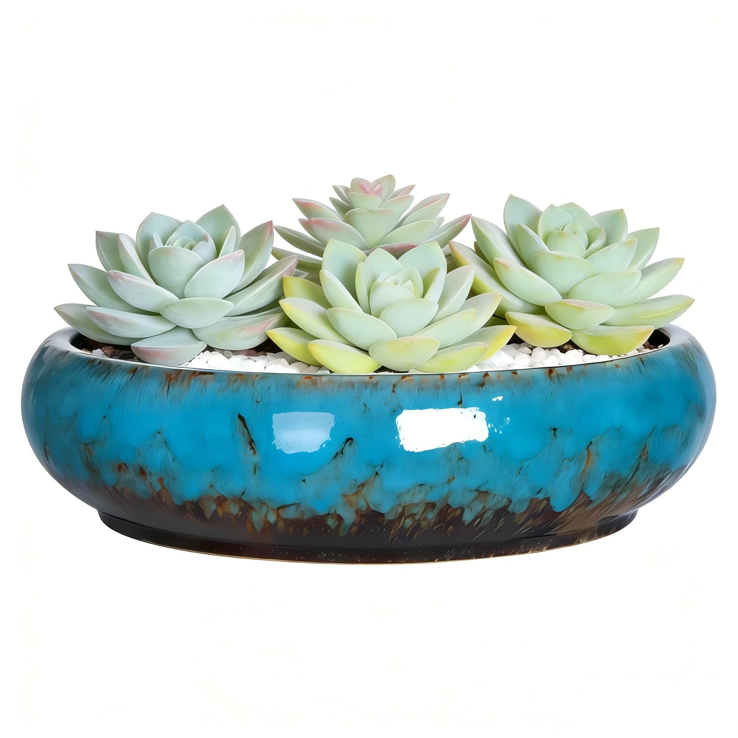 Succulent Pots, 10 Inch, Shallow Planter with Drainage for Succulent Planters, Bonsai Pots & Cactus Pots, Plant Pots, Ceramic Planters for Indoor Plants - Perfect for Home Offie Garden Decor, Blue