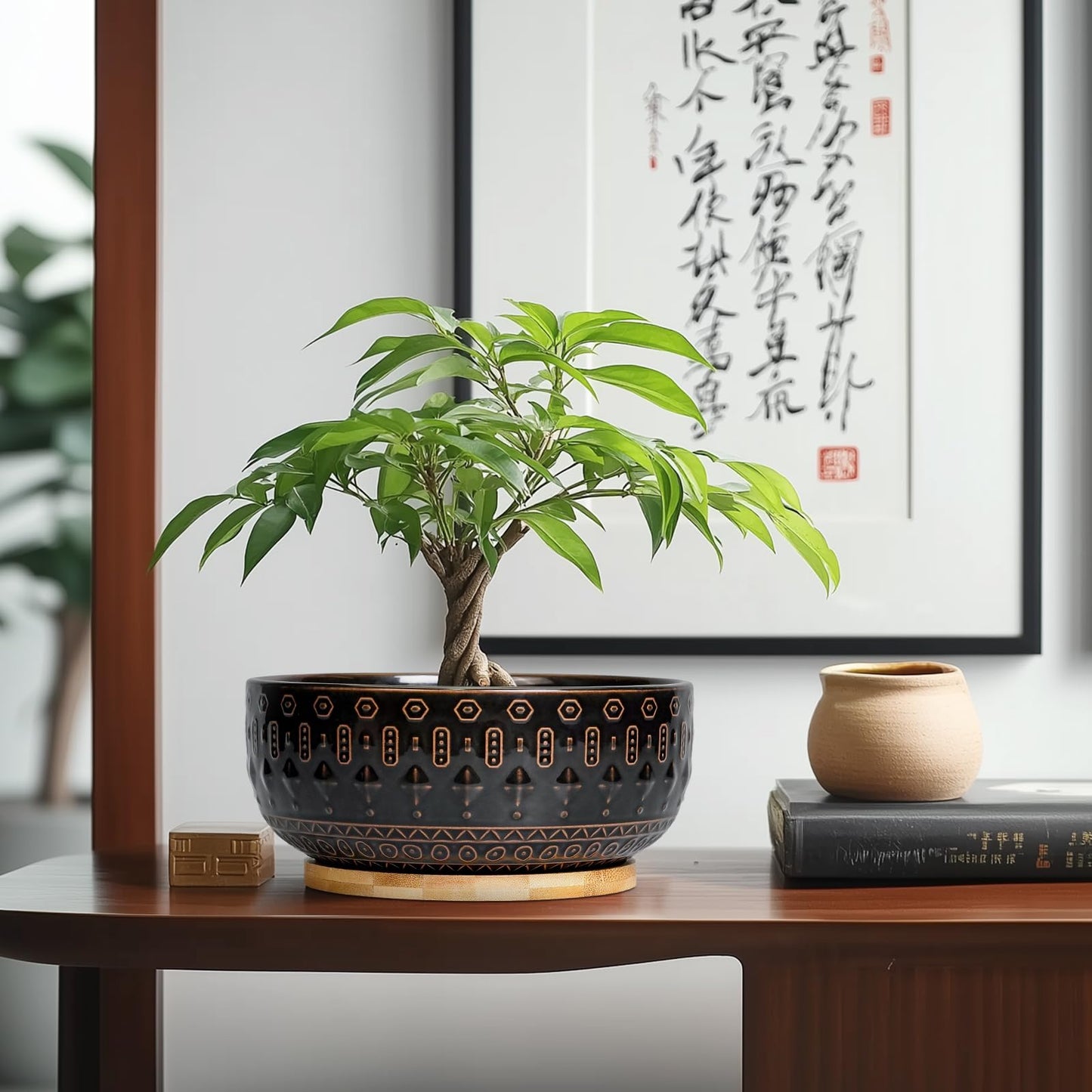 Fivepot Bonsai Planter - 8 Inch Ceramic Pots for Plants Indoor, Shallow Round Succulent Bowl with Drainage Hole and Tray for Cactus, Boho Room Garden House Decor, Birthday Gifts, Black