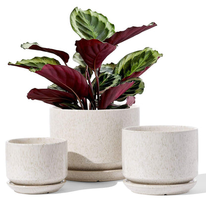 LE TAUCI Ceramic Plant Pots, 11+13+17 cm Planters, Set of 3 Planters with Drainage Hole and Saucer, Indoor Plant Pot with Hole Mesh Pad, Gifts for Mom, Reactive Glaze Beige