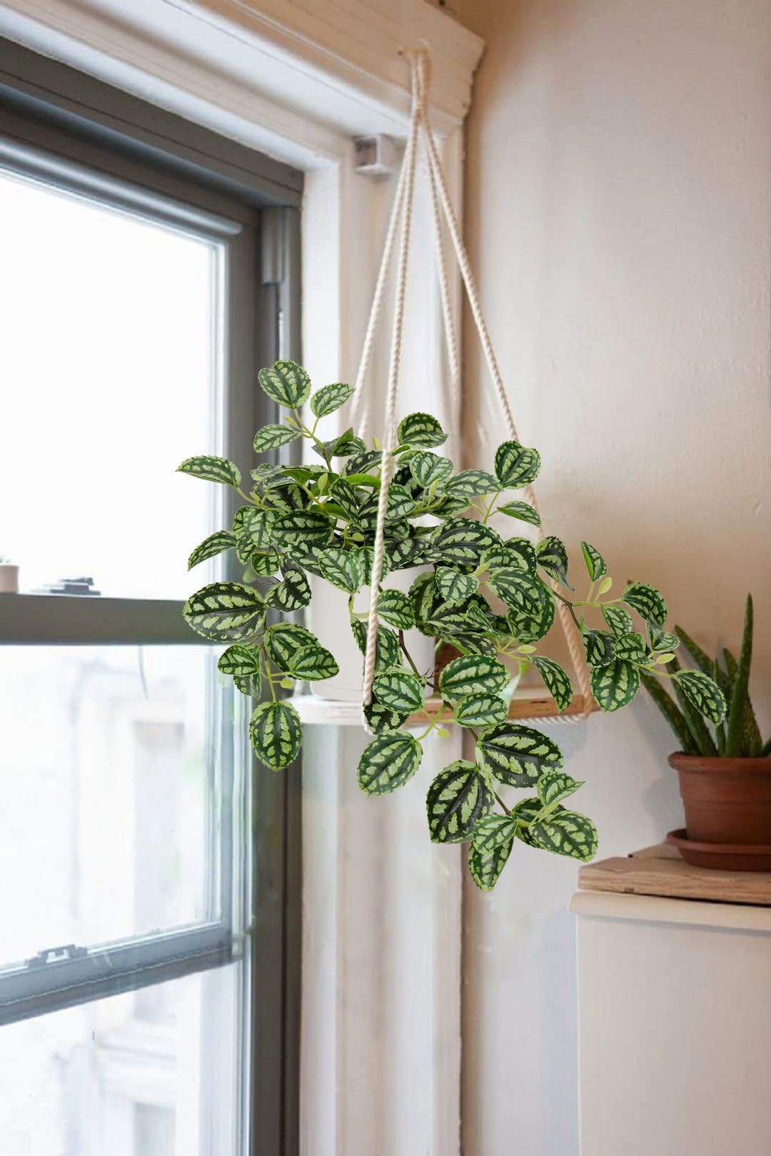 GnFlus Fake Hanging Plants, 20 Inch Artificial Ivy Plant in Ceramic Pot Faux Watermelon Peperomia Trailing Vine Plant Potted for Home Bedroom Office Table Shef Desk Indoor Outdoor Decor Green