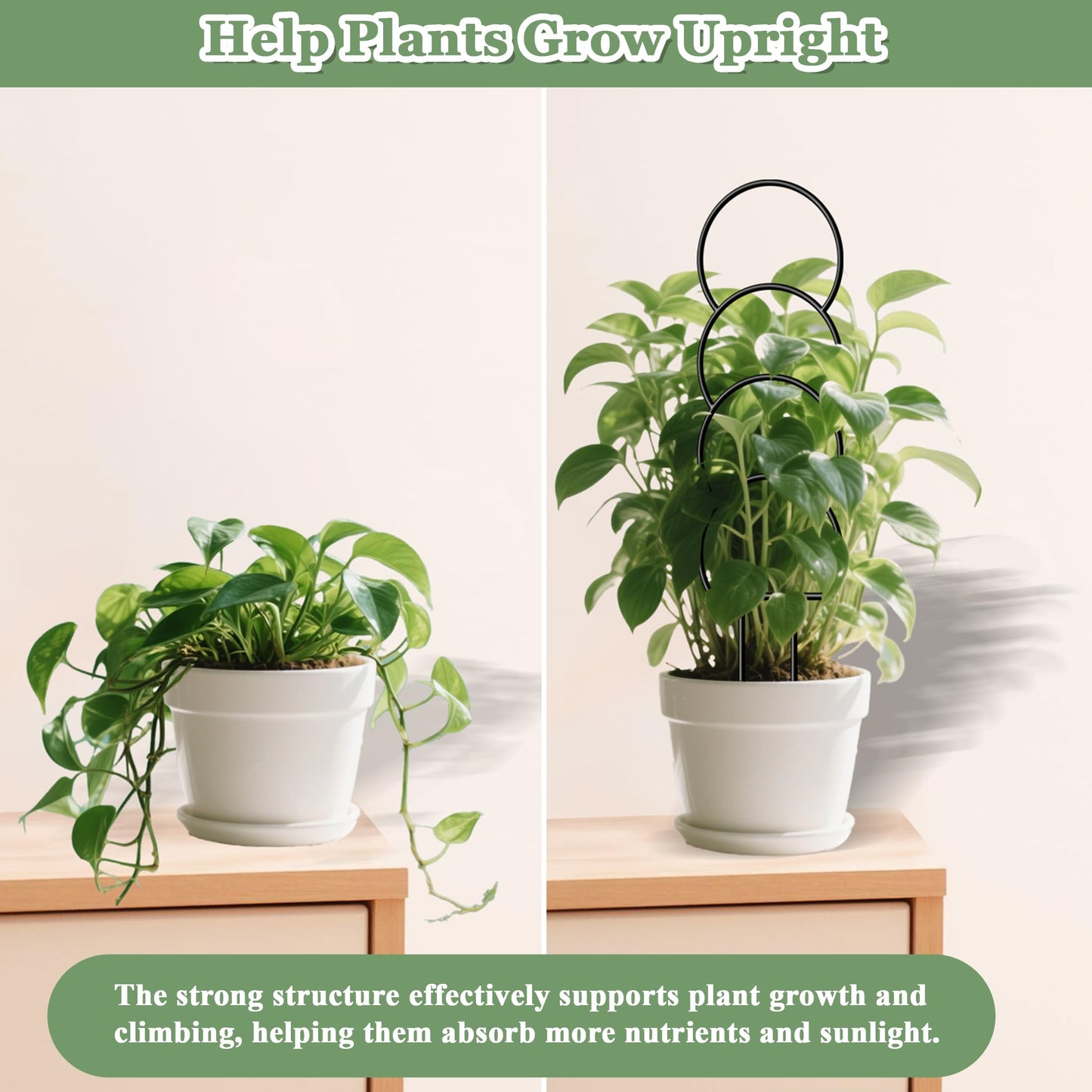 Plant Trellis for Potted Plants Indoor, Metal Garden Trellis for Climbing Plants with Different Patterns, Small Houseplant Support Stakes for Vine Ivy Hoya Pothos Flower Outdoor, 16 Inch 4 Pack