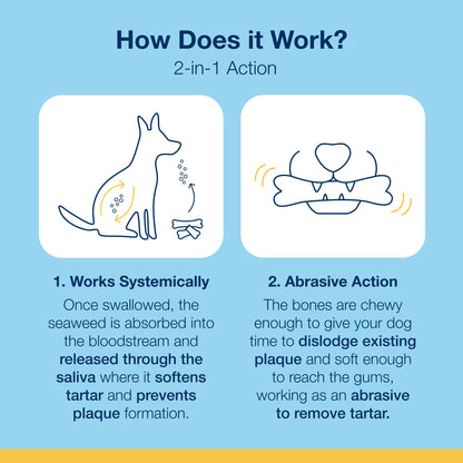 ProDen PlaqueOff 13 Dental Bones for Medium & Large Dogs, Tartar, Plaque & Bad Breath Remover, Improves Overall Oral Health, Pack of 2 (Chicken)