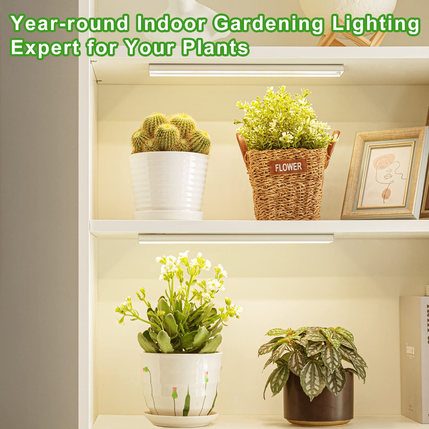 FOXGARDEN Grow Light, Full Spectrum Plant Light Strip for Indoor Plants, 384 LED Bright Grow Lamp with Auto On/Off Timer 4/8/12H, 4 Switch Modes, 10 Dimmable Brightness, 4 Packs