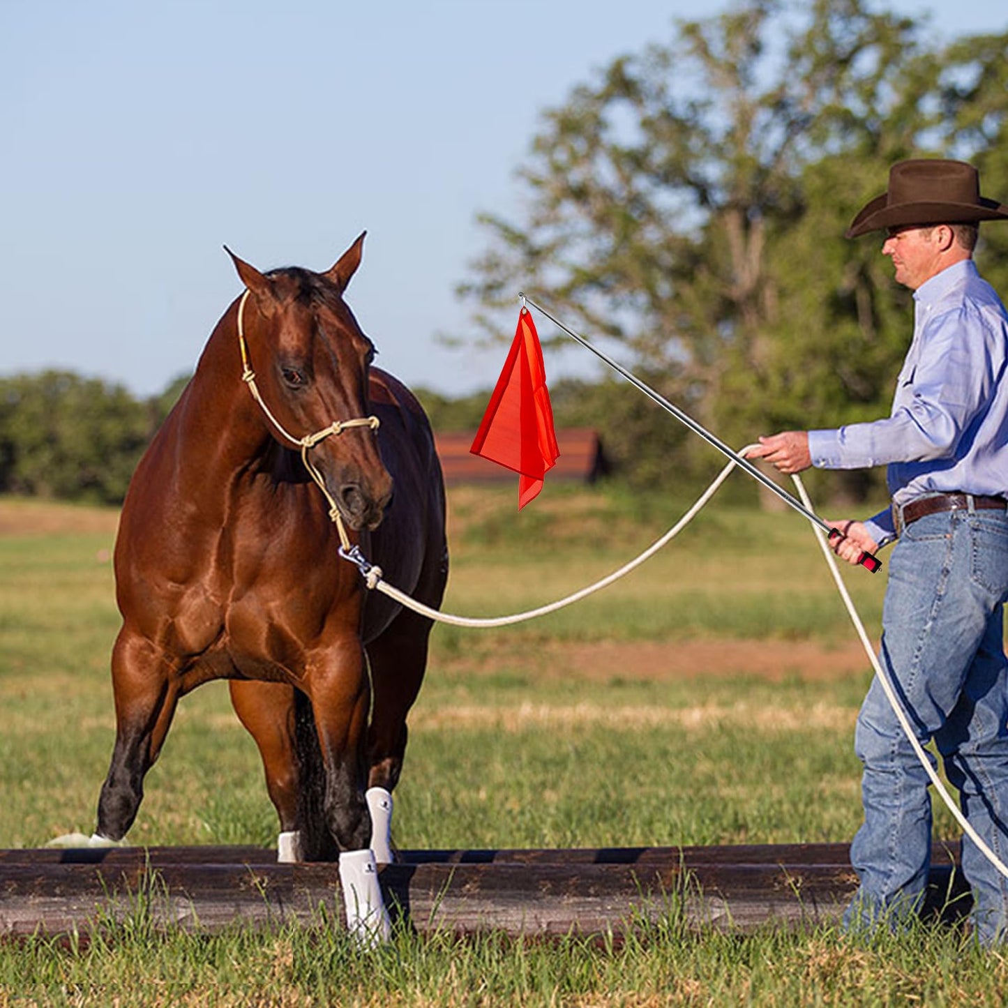 ZUDKSUY Horse Training Flag 2 pcs 48inch Telescopic Flagpoles and 4 pcs 18inch Equestrian Training Flags Portable Equine Nylon Flags Training Stick