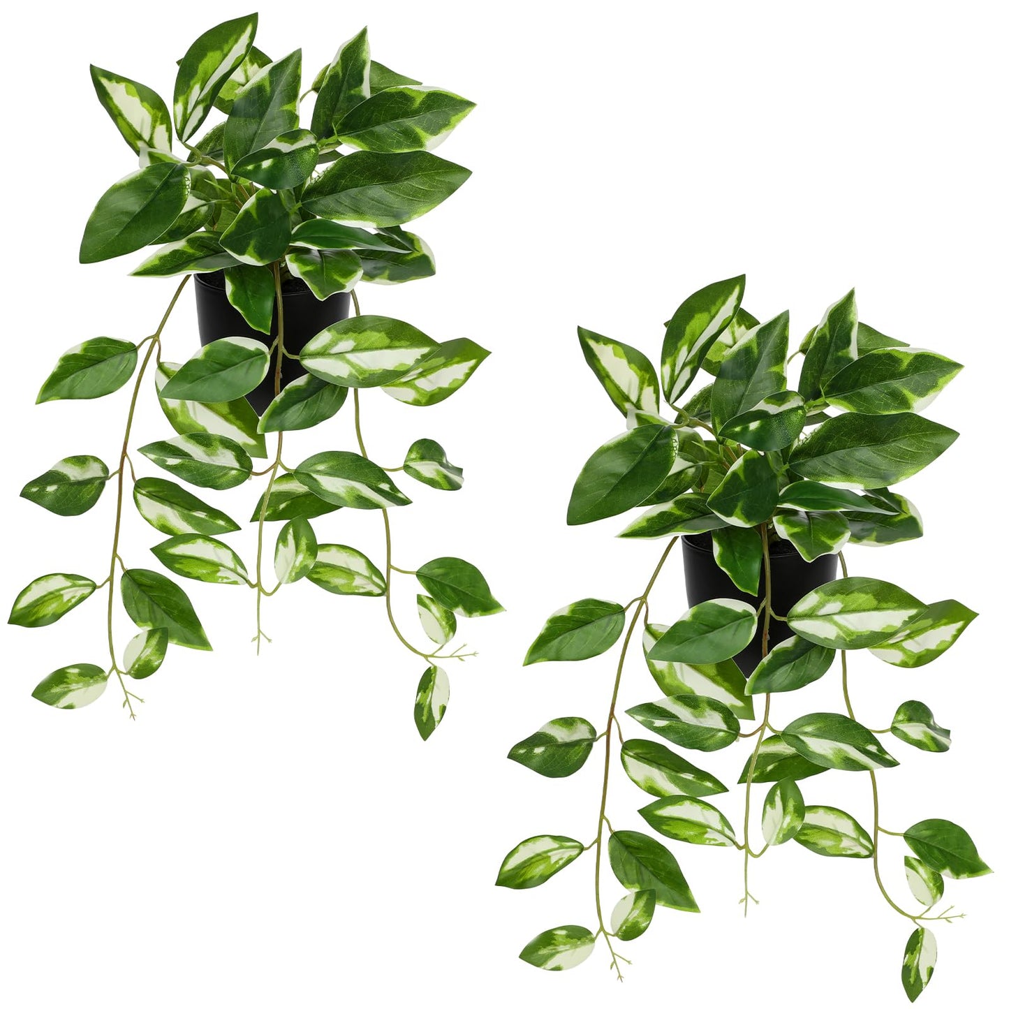 Briful Small Fake Plants Indoor (Set of 2) Realistic Faux Trailing Plant Artificial Potted Plants in Black Pot White N' Joy Leaf Houseplant for Living Room Table Kitchen Counter Shelf