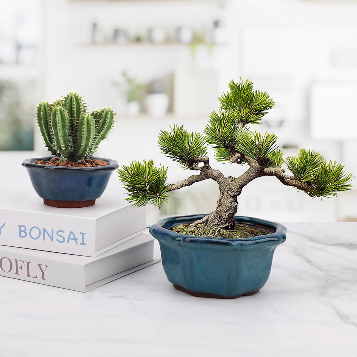 Bonsai Planter Succulent 5" Small Glazed Pots, Value Set of 2 + 4 Soft Mesh Drainage Screens